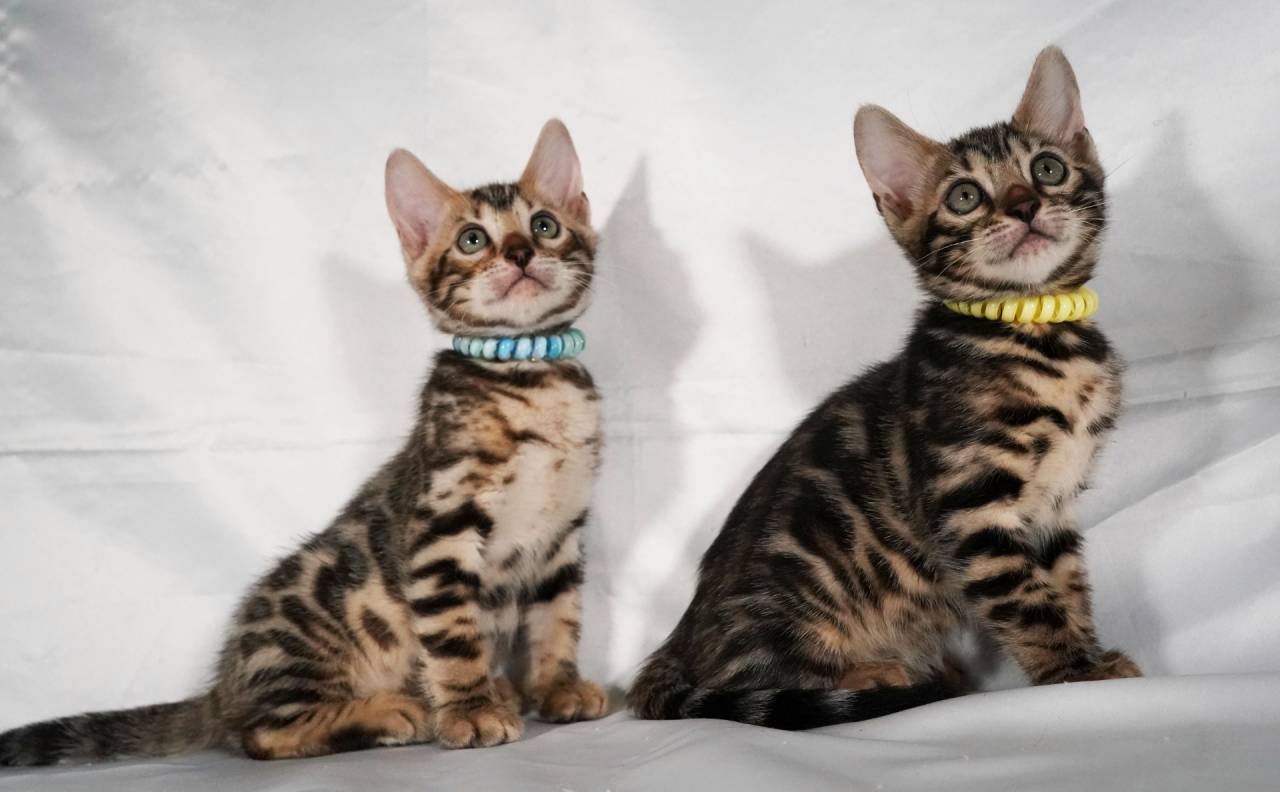 2025/5/16撮影　兄弟と