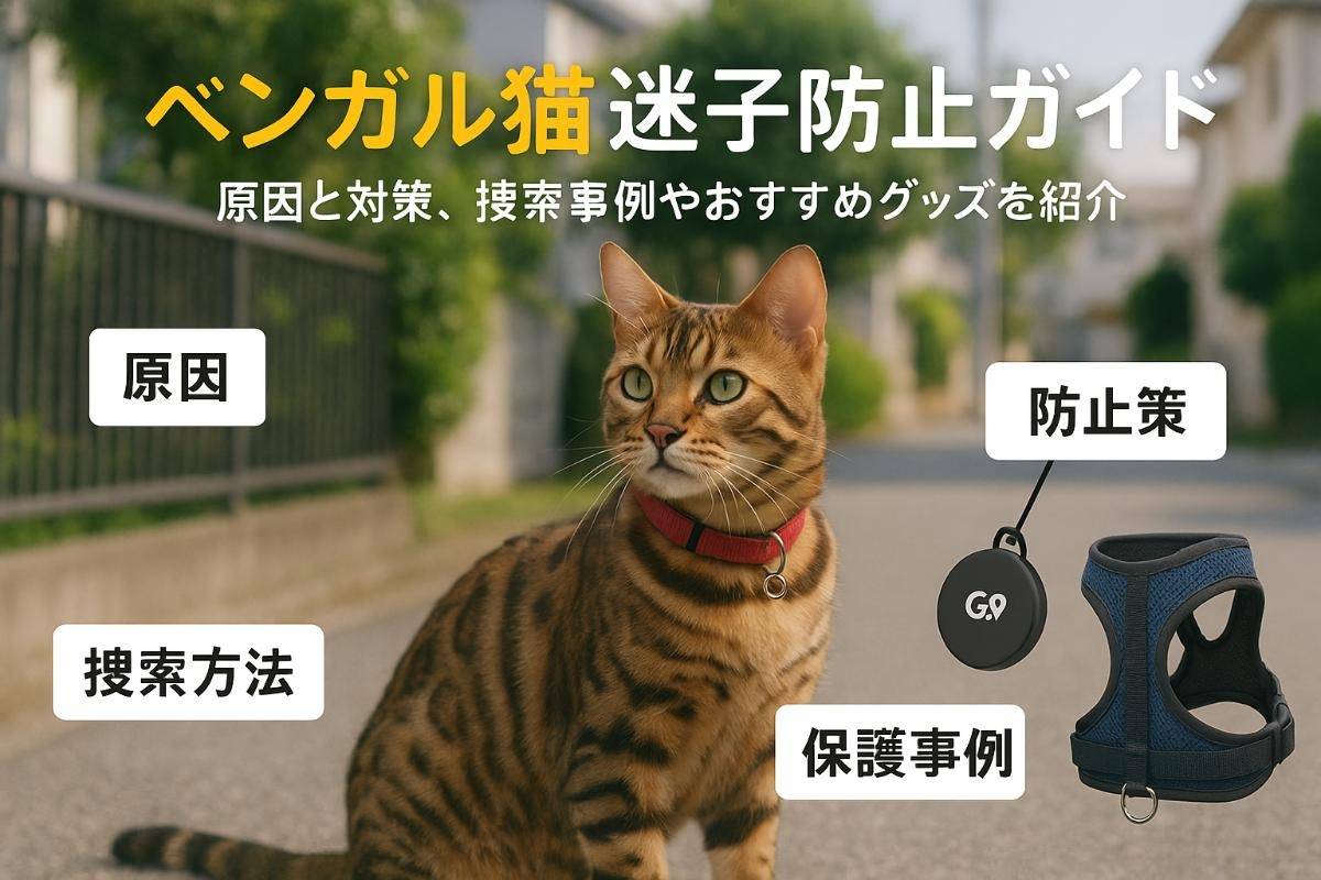 ベンガル猫の迷子が発生する原因と防止策徹底ガイド｜捜索方法・保護事例・最新グッズ比較