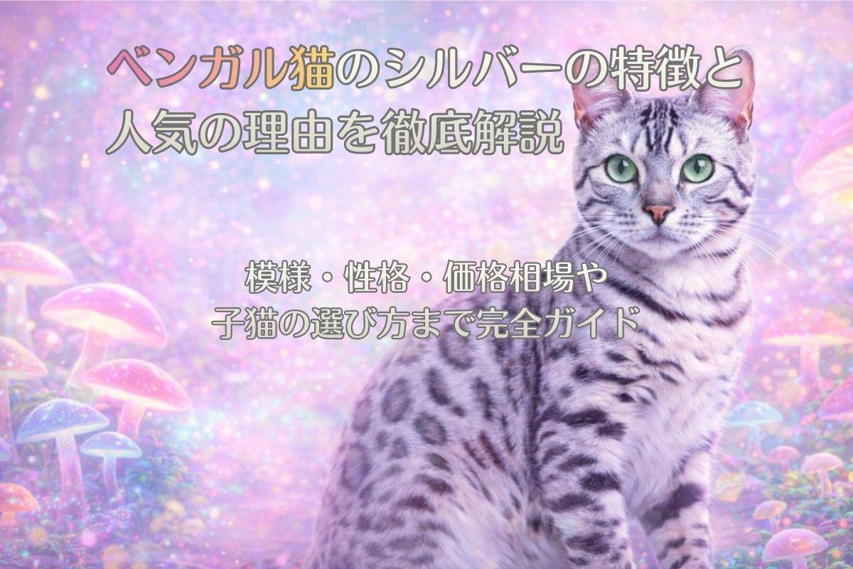 ベンガル猫のシルバーの特徴と人気の理由を徹底解説｜模様・性格・価格相場や子猫の選び方まで完全ガイド
