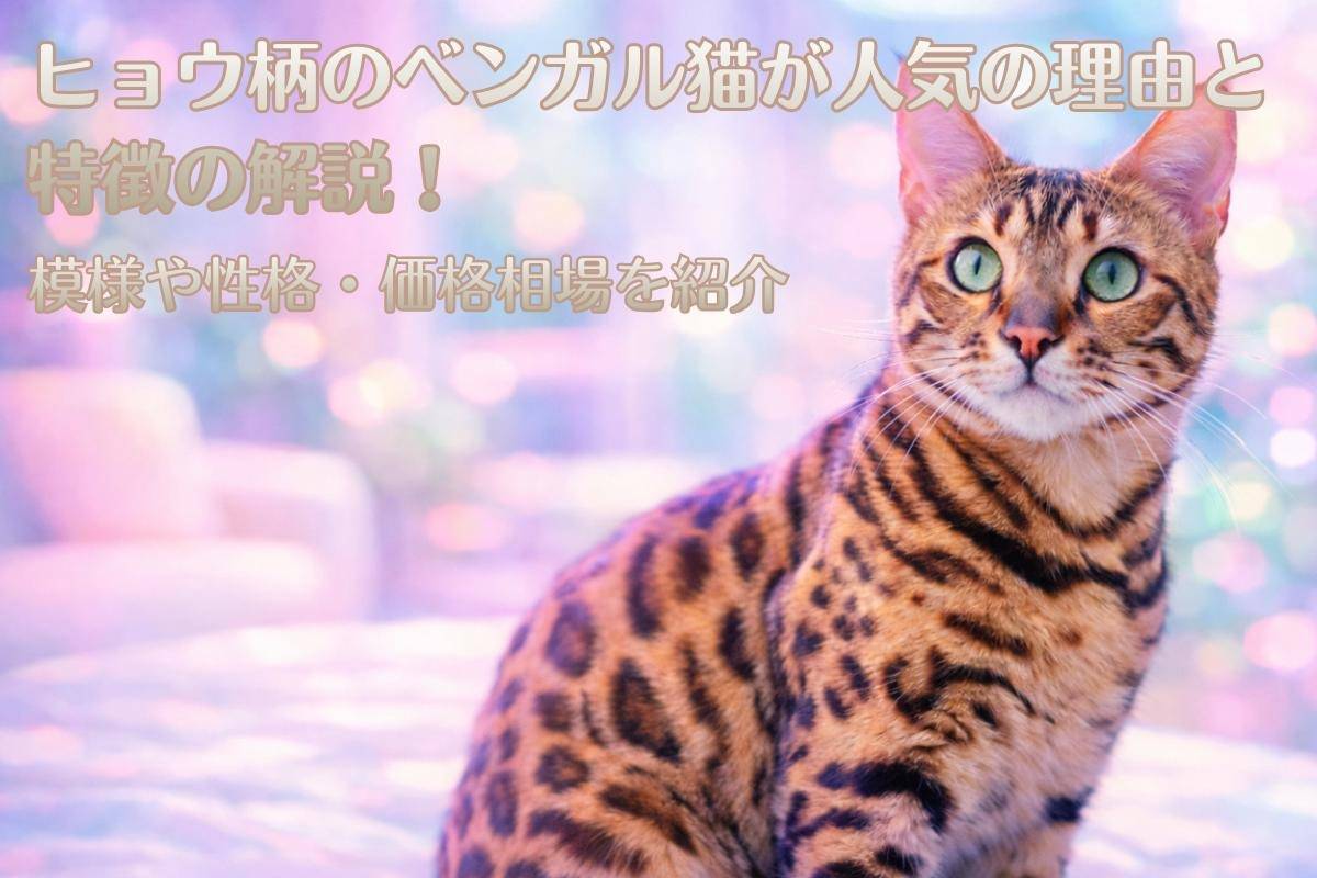 ヒョウ柄のベンガル猫が人気の理由と特徴の解説！模様や性格・価格相場を紹介