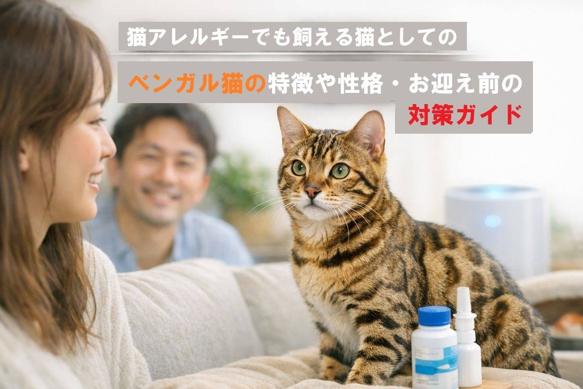 猫アレルギーでも飼える猫としてのベンガル猫の特徴や性格・お迎え前の対策ガイド
