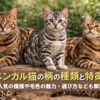 ベンガル猫の柄の種類と特徴！人気の模様や毛色の魅力・選び方なども解説