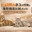 ヒョウ柄のネコの特徴と種類徹底比較ガイド｜人気子猫の最新情報と性格・値段相場も解説