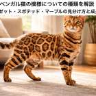 ベンガル猫の模様についての種類を解説｜人気ロゼット・スポテッド・マーブルの見分け方と成長変化