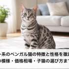 グレー系のベンガル猫の特徴と性格を徹底解説｜人気の模様・価格相場・子猫の選び方まで網羅