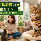 ベンガルの飼い方完全ガイド｜猫の性格や特徴と失敗しない飼育ポイント